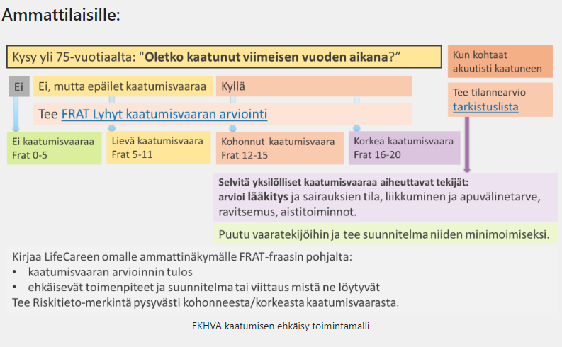 Etelä-Karjalan Kaatumisen Ehkäisy -malli | Innokylä